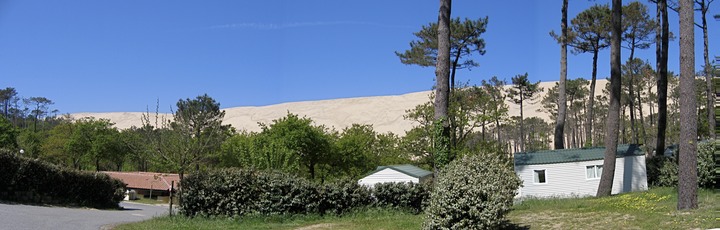 Dune from campground