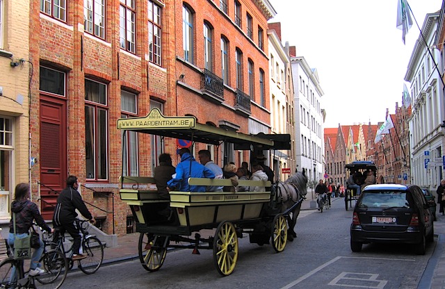 Belgian working horse and wagon