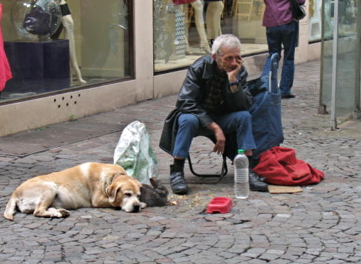 Man with dog...and rabbit