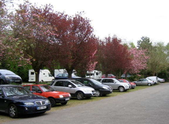 Rover at Giverny