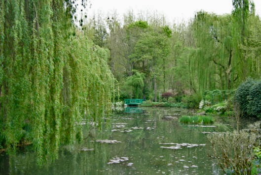 Pond 4