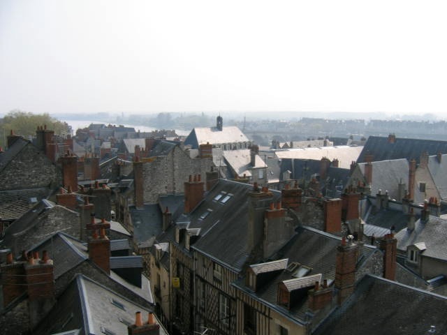 View of Blois from chateau