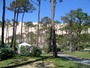 Campground and dune